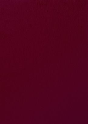 RENOLIT EXOFOL PX WINE RED 3005 